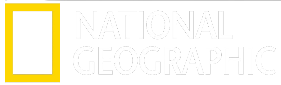 National Geographic Logo – Dokumentationssender im IPTV Schweiz Abo